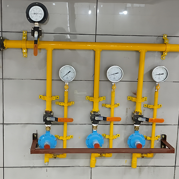 PNG & LPG Gas Pipeline Systems